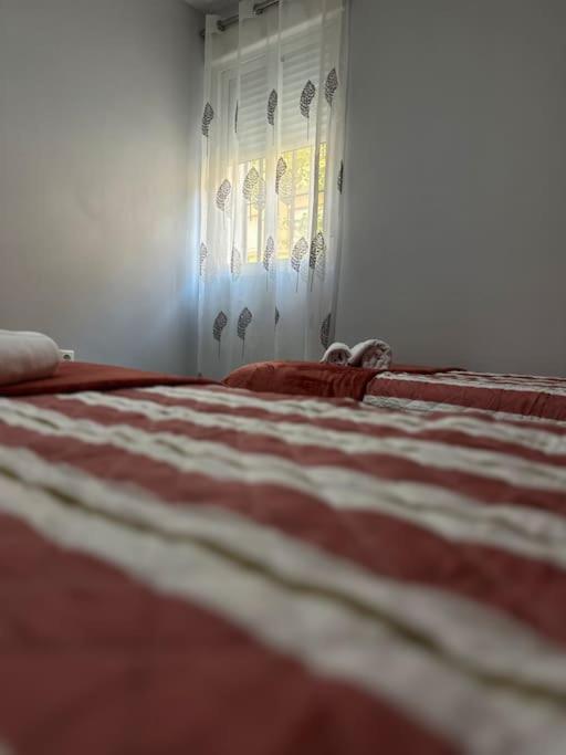 Apartamento Turistico O.N Renfe Córdoba Exterior foto